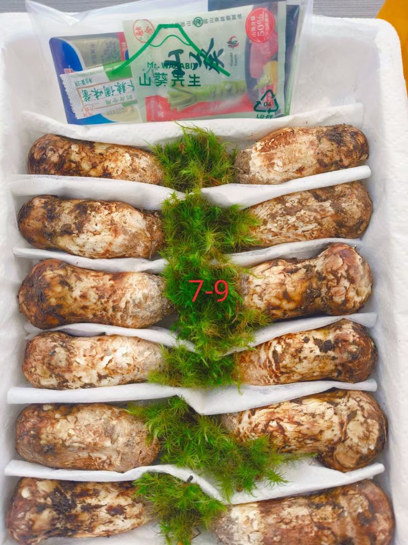 野生菌