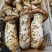 野生菌
