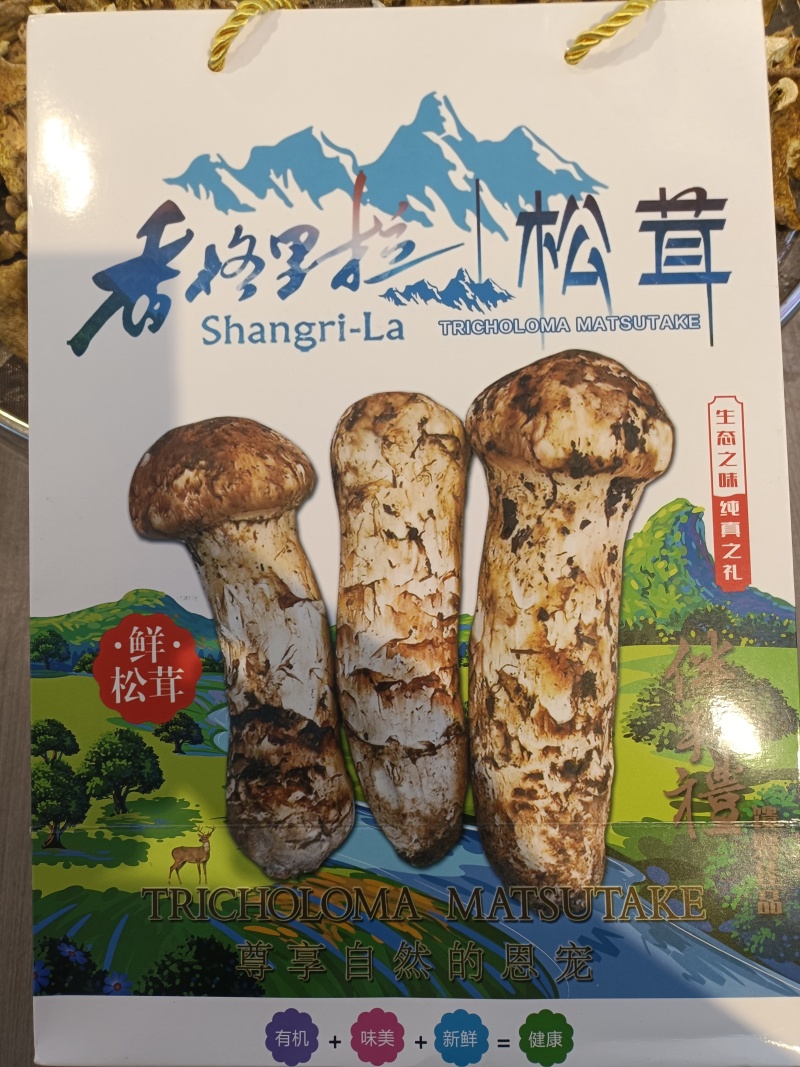 野生菌
