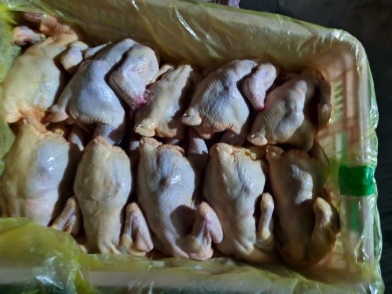 三黄鸡，肉杂鸡，白条鸡。一手货源，欢迎采购。