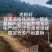 老蛙