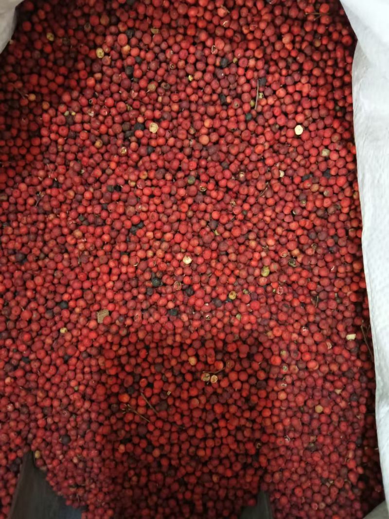 南天竹子冷背中药材干货2斤包邮量大优惠