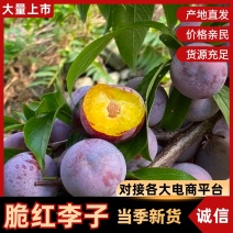 汉源小脆红李子大量供应货源充足，基地直发量大从优