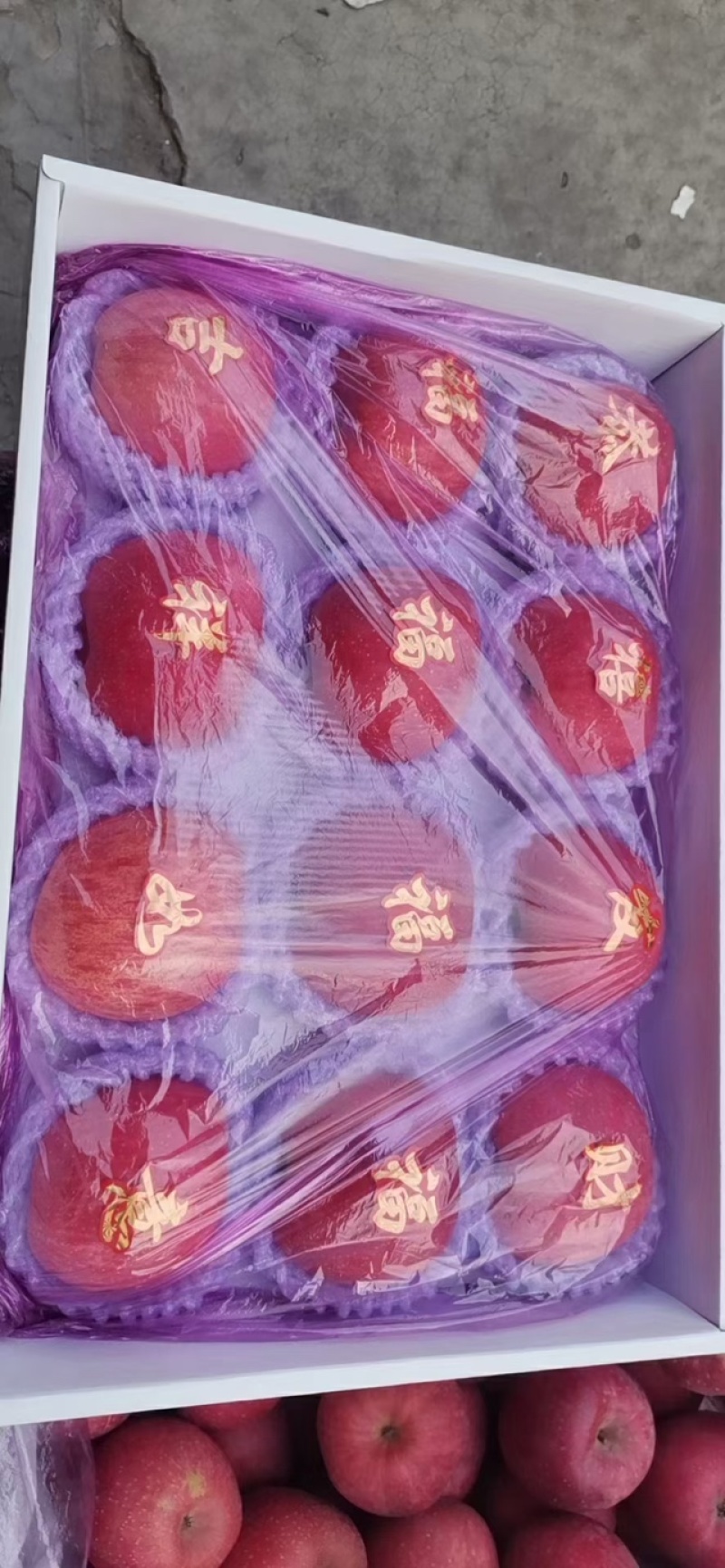【有货】红富士苹果质量保证新鲜采摘价格可谈