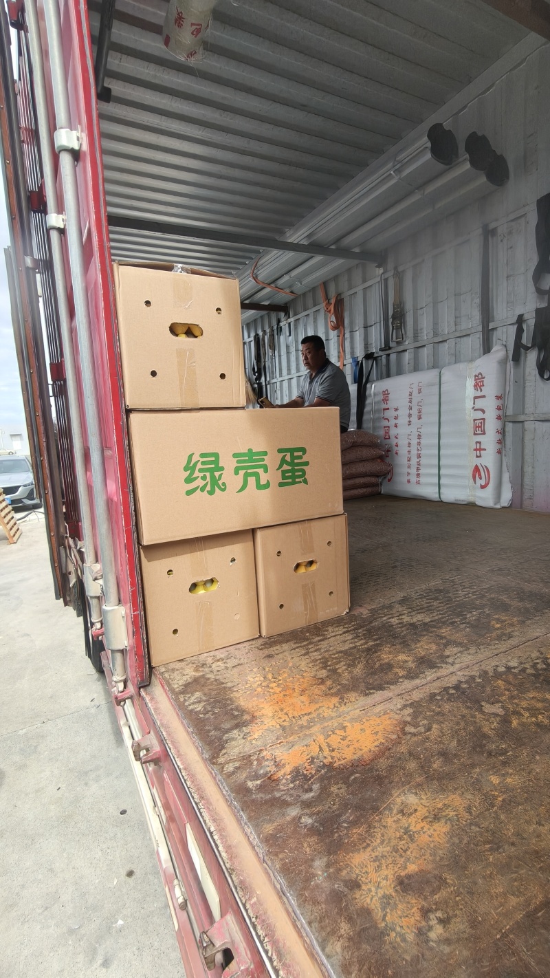 【对接电商】快递代发，绿壳乌鸡蛋，营养价值更高，价格实惠