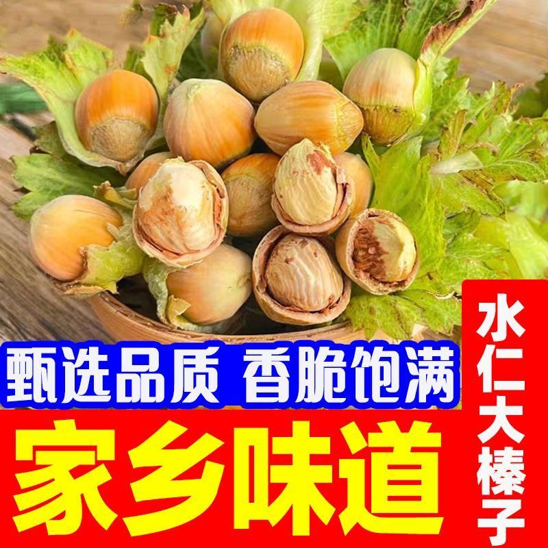 2025年新鲜带绿皮水仁大榛子新货东北辽宁水瓤青皮野山榛