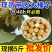 2025年新鲜带绿皮水仁大榛子新货东北辽宁水瓤青皮野山榛