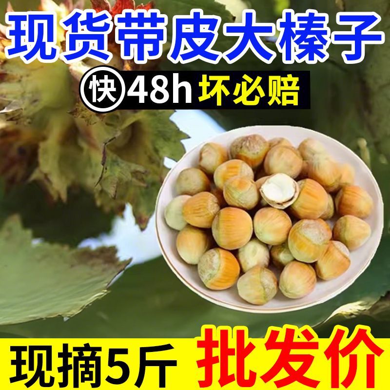 2025年新鲜带绿皮水仁大榛子新货东北辽宁水瓤青皮野山榛