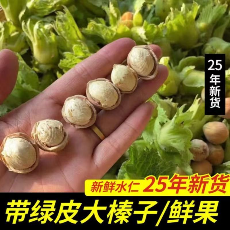 2025年新鲜带绿皮水仁大榛子新货东北辽宁水瓤青皮野山榛