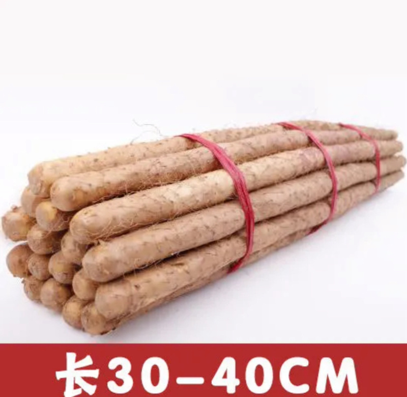 紫药大货新鲜品质价格优惠量大从优欢迎致电