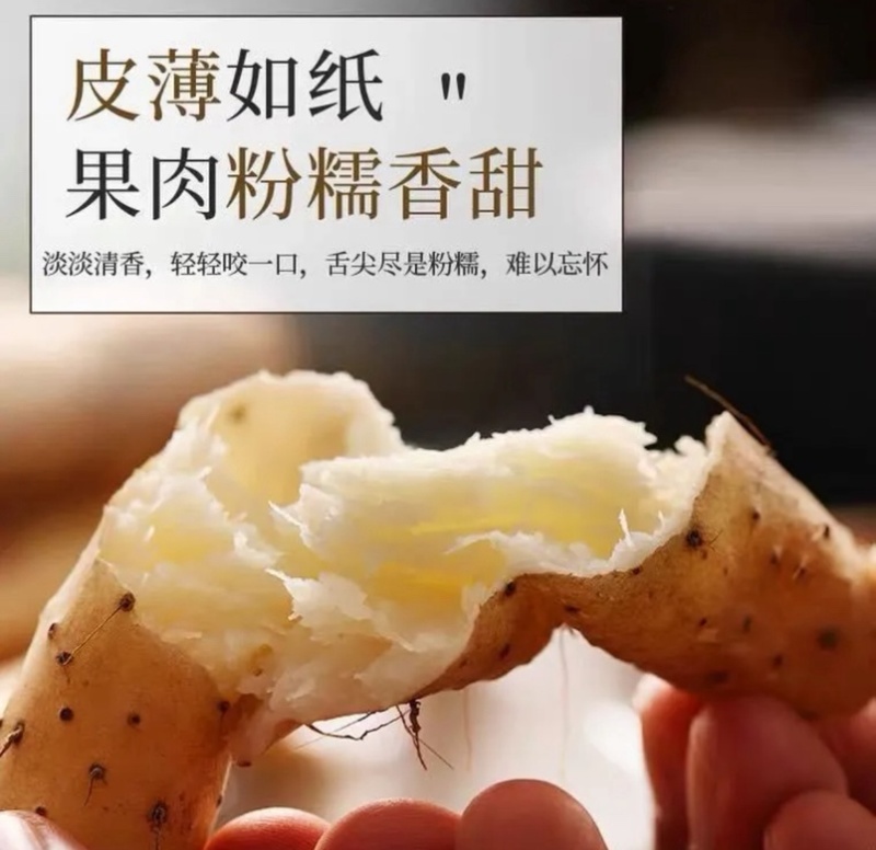 紫药大货新鲜品质价格优惠量大从优欢迎致电