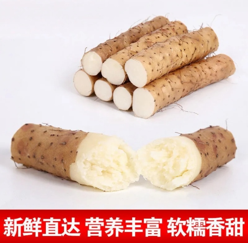 紫药大货新鲜品质价格优惠量大从优欢迎致电