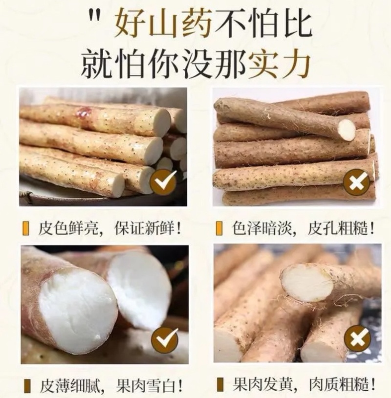 紫药大货新鲜品质价格优惠量大从优欢迎致电