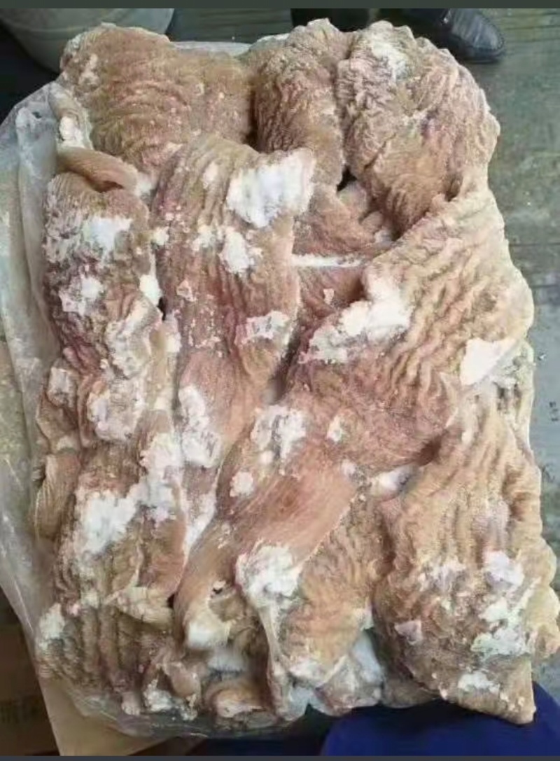 【牛副产品】河南惠济牛碗口半成品牛肠头量大从优可视频看货