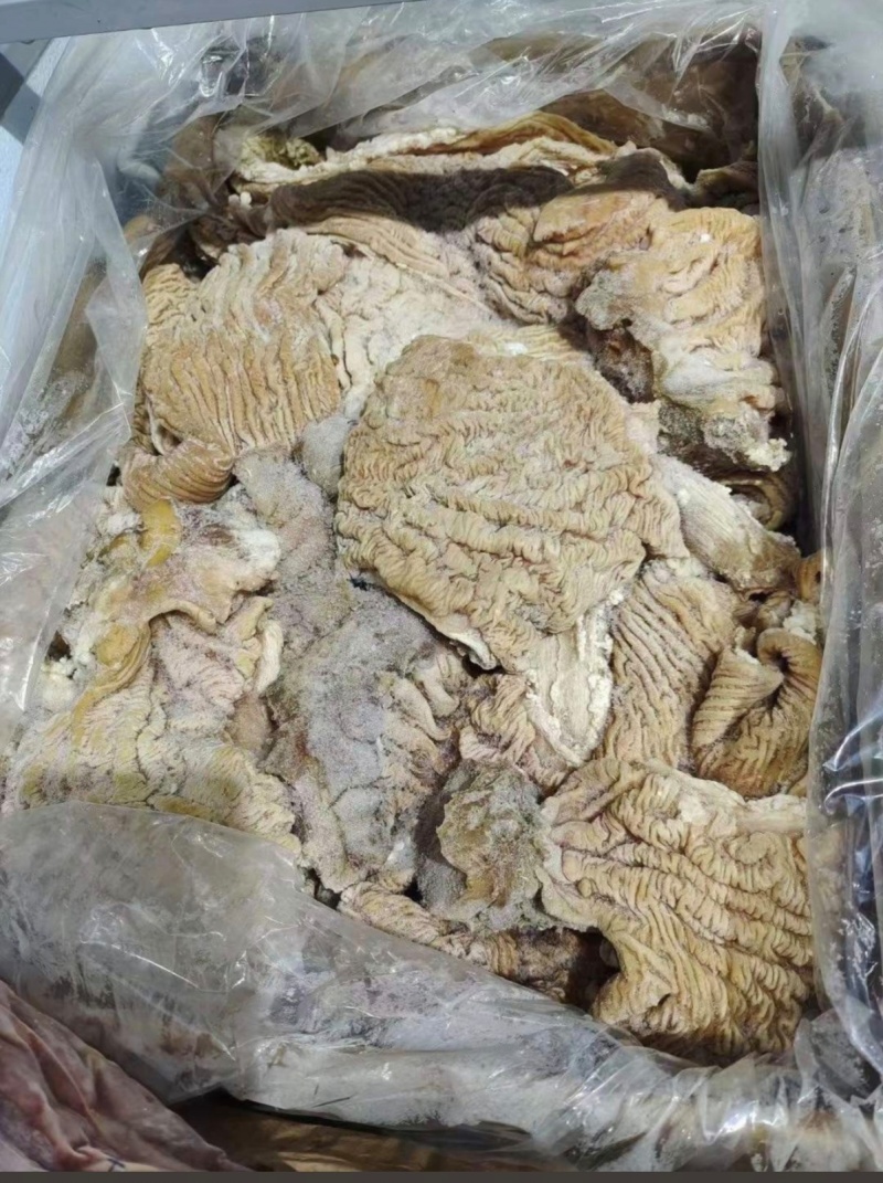 【牛副产品】河南惠济牛碗口半成品牛肠头量大从优可视频看货
