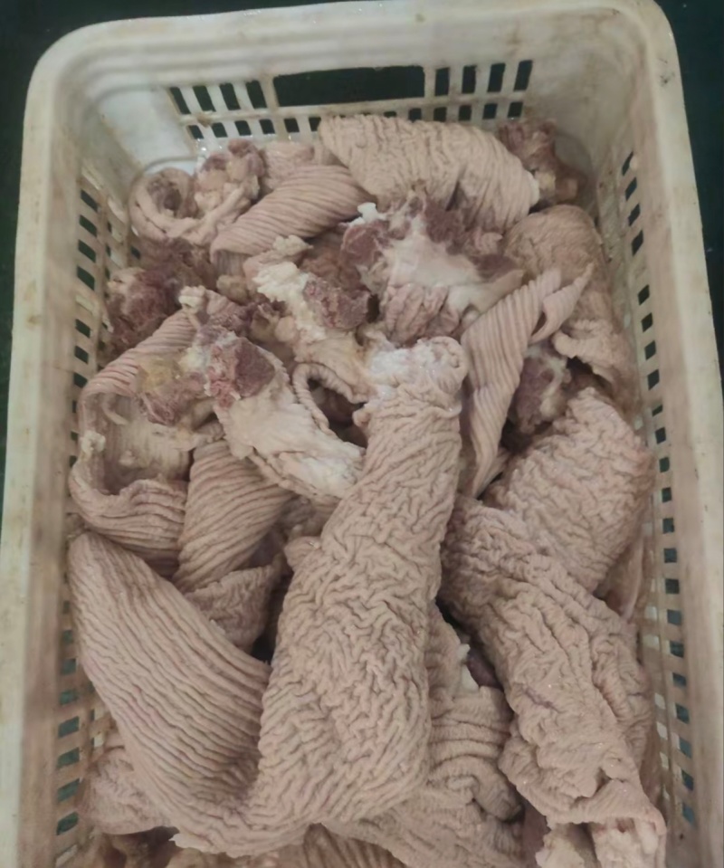 【牛副产品】河南惠济牛碗口半成品牛肠头量大从优可视频看货