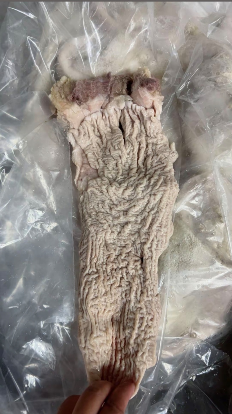 【牛副产品】河南惠济牛碗口半成品牛肠头量大从优可视频看货