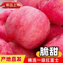 山东红富士苹果大量有货，对接全国市场，电商平台