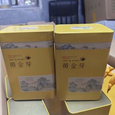 黄金芽