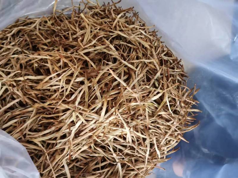 包邮：黄花菜，现货现发大量供应，量大优惠支持视频现场看货
