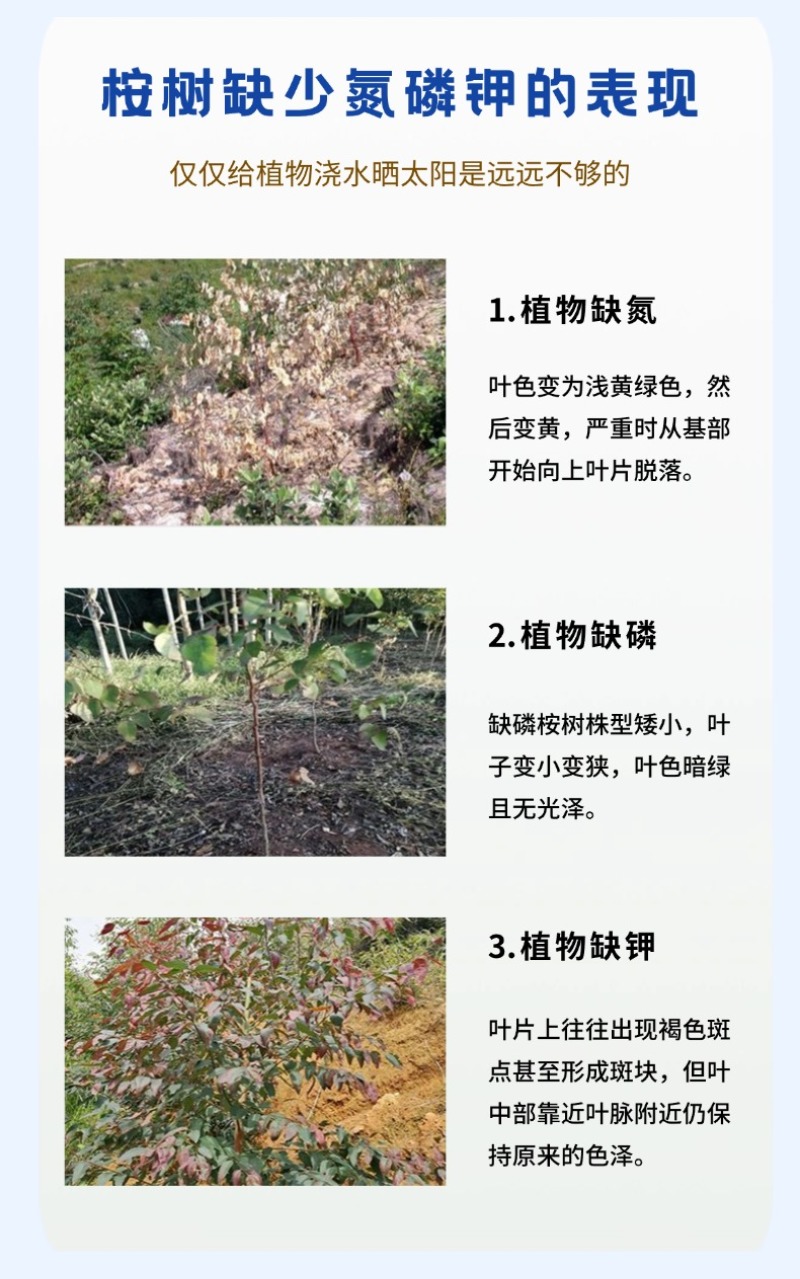 桉树肥18-5-7桉树复合肥30含量现货直发