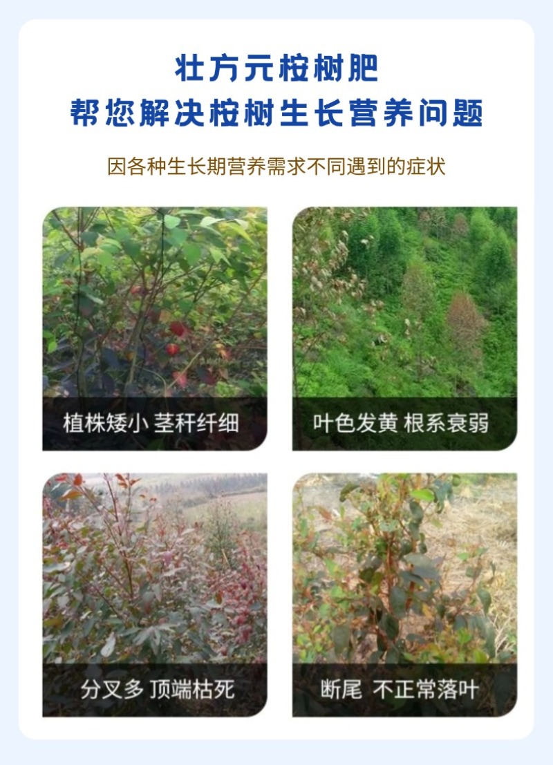 桉树肥18-5-7桉树复合肥30含量现货直发