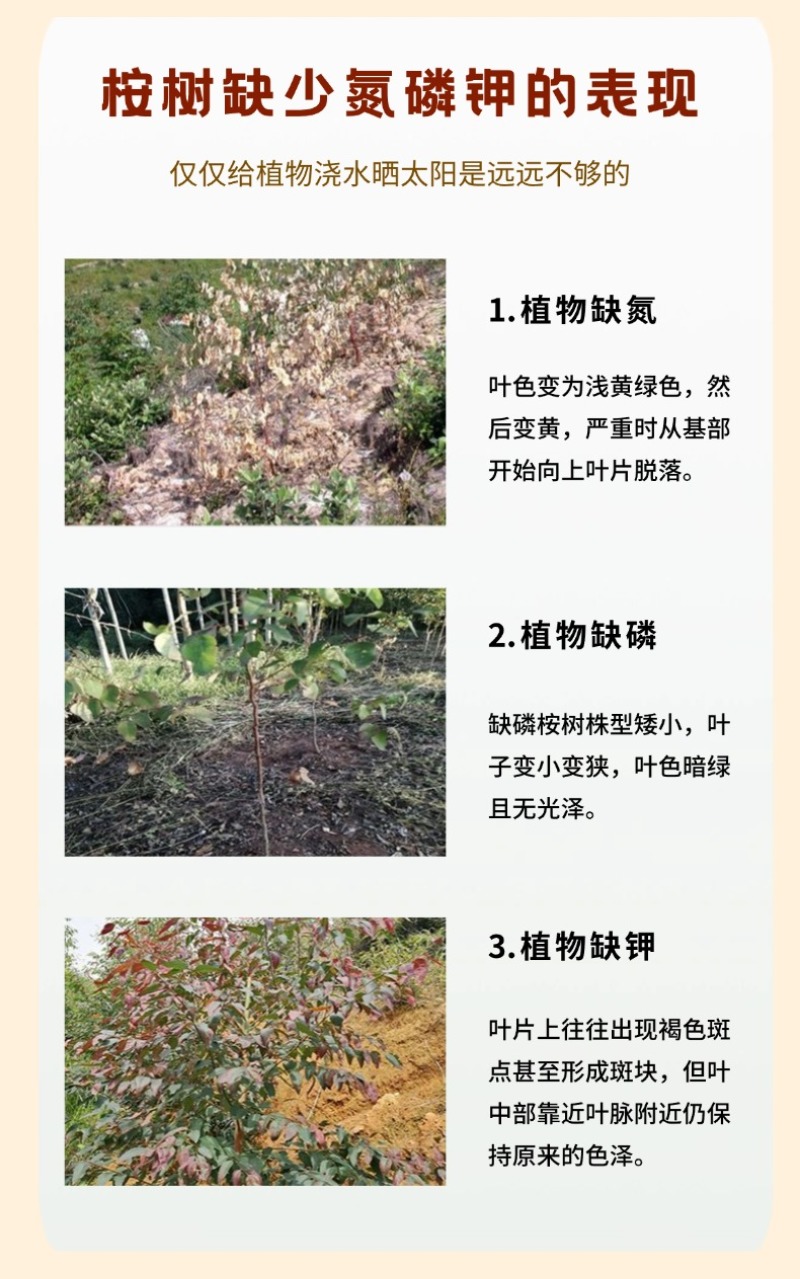 速生桉树肥18-7-10广西肥料35含量现货直发硼锌实标