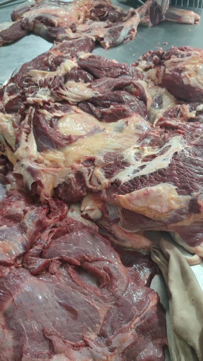 内蒙古牛肉，新鲜牛商，冷链直发，欢迎选购