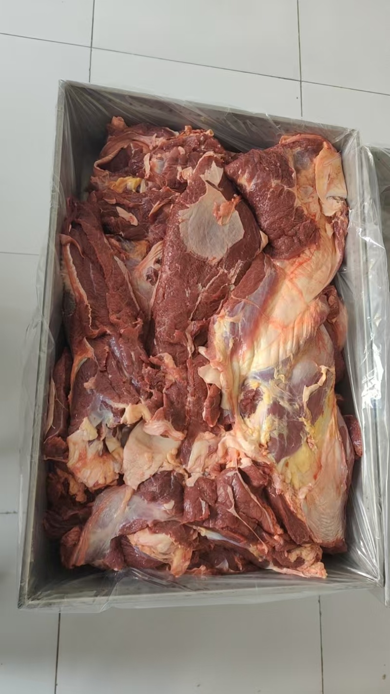 内蒙古牛肉，新鲜牛商，冷链直发，欢迎选购