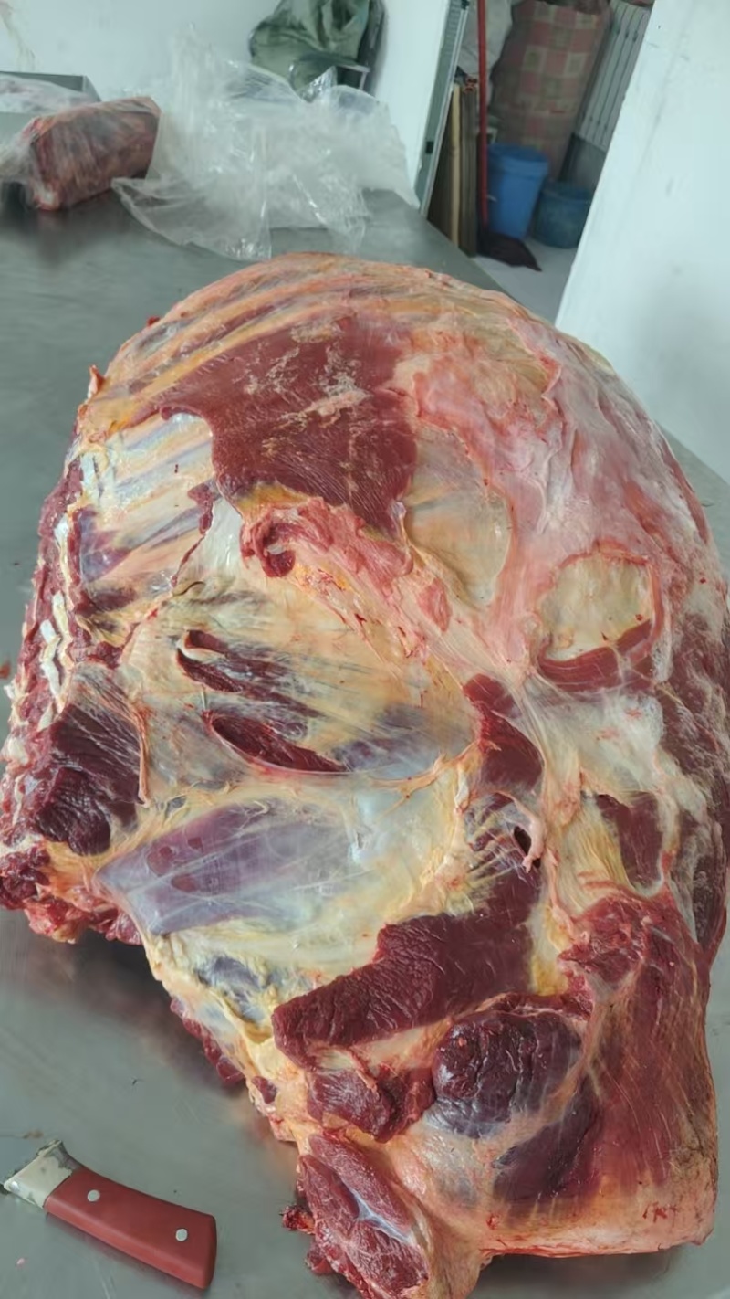 内蒙古牛肉，新鲜牛商，冷链直发，欢迎选购