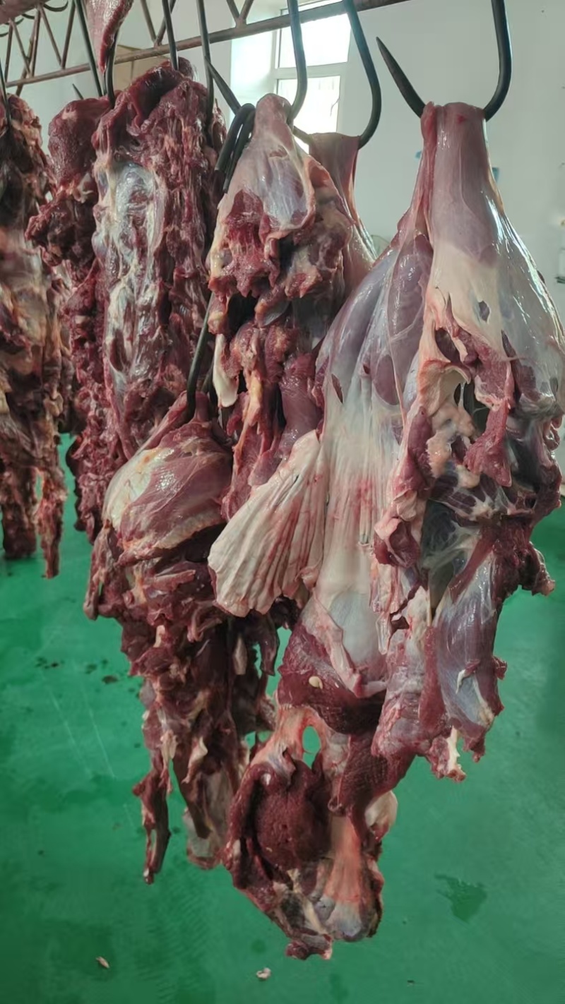 内蒙古牛肉，新鲜牛商，冷链直发，欢迎选购