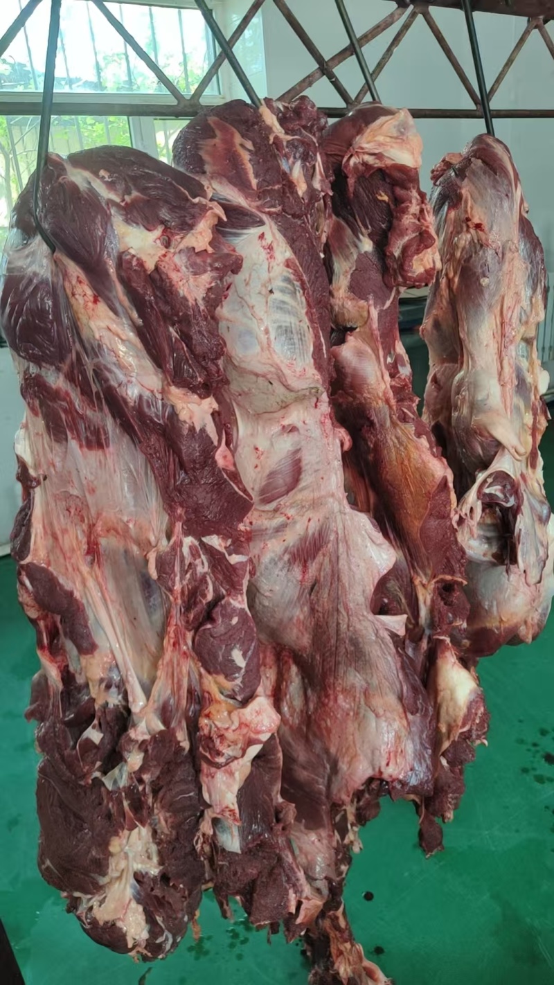 内蒙古牛肉，新鲜牛商，冷链直发，欢迎选购