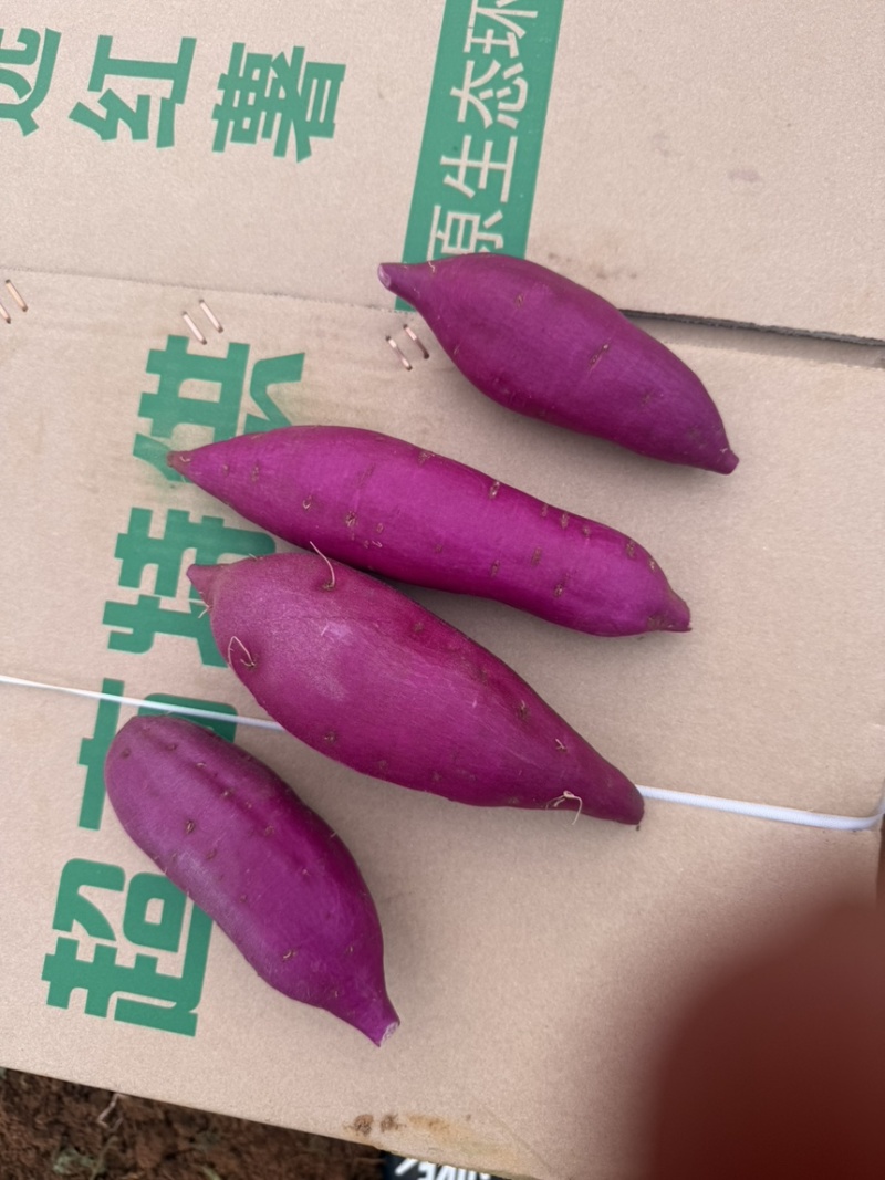 水洗椭圆紫薯现挖现发量大从优诚信代发