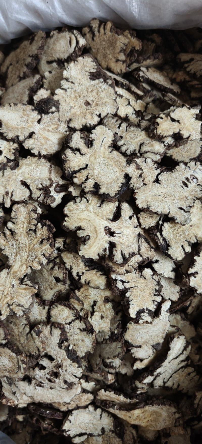 川芎四川川芎阴干片1000g起批关书药业