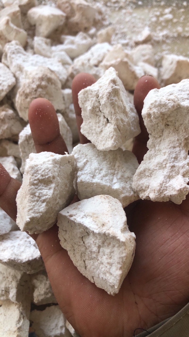 云南白茯苓块手工切块纯无硫自然晒干茯苓块