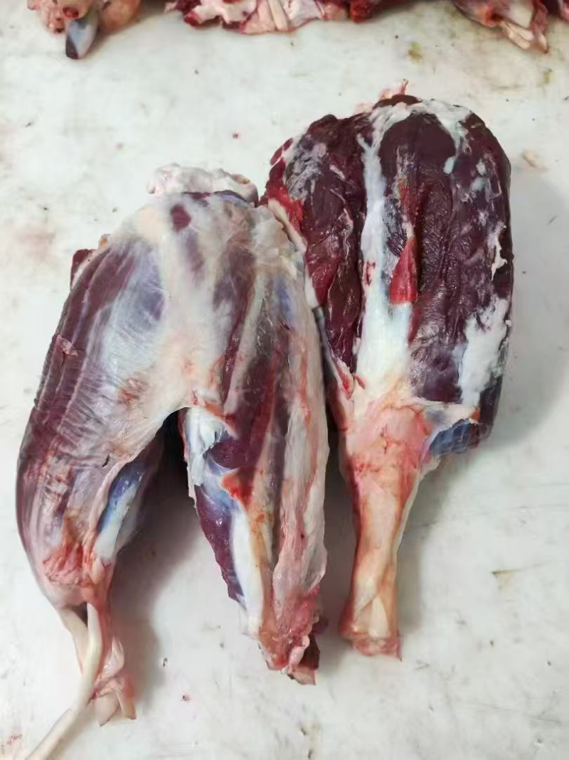 育肥母牛，全牛批发。国产纯干排酸牛肉，精修去油，口感细嫩
