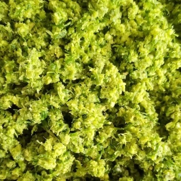 草原商用韭花酱，