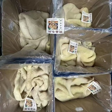 熟牛肚