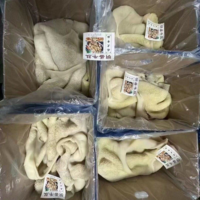 熟牛肚