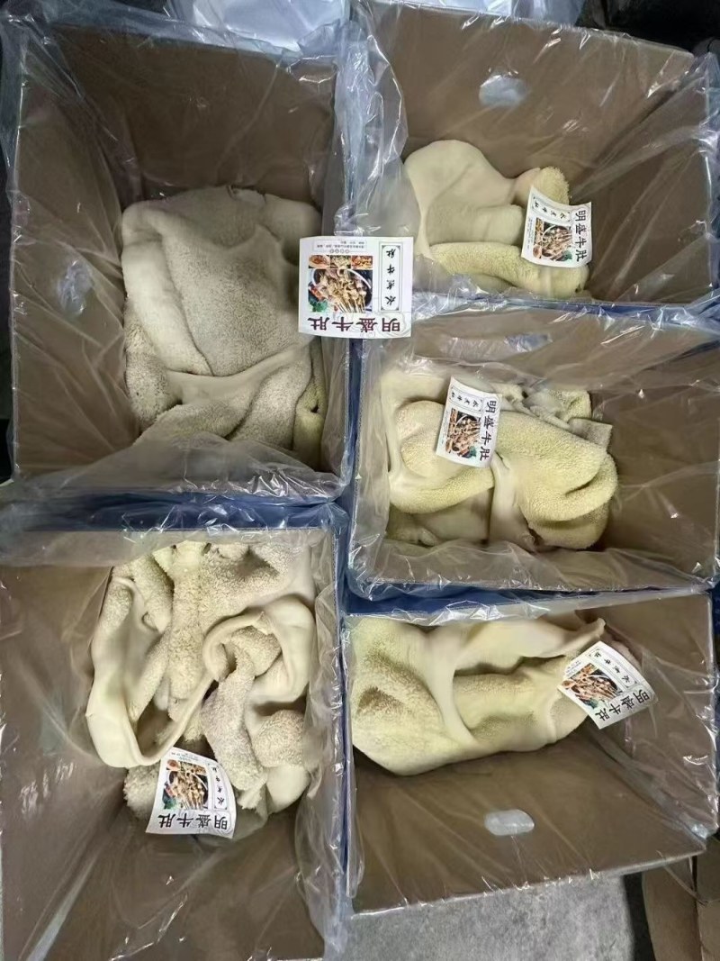 熟牛肚
