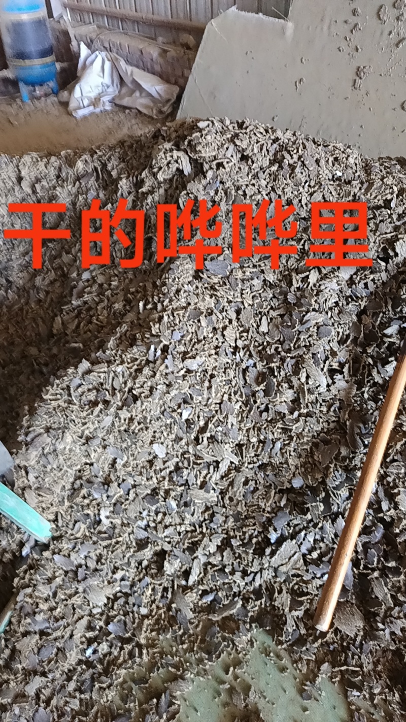 棉籽饼