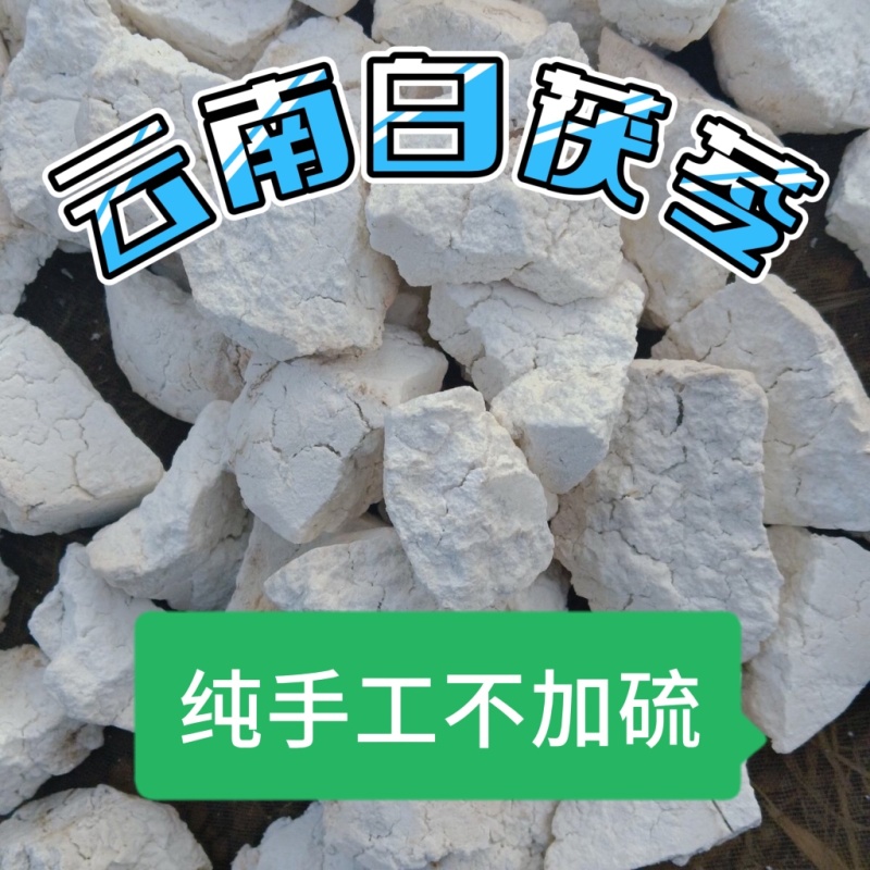 云南白茯苓块手工切块纯无硫自然晒干茯苓块