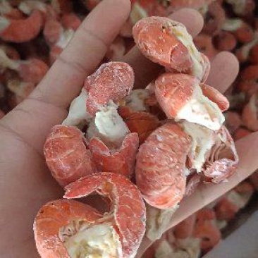 精品特级虾尾原料