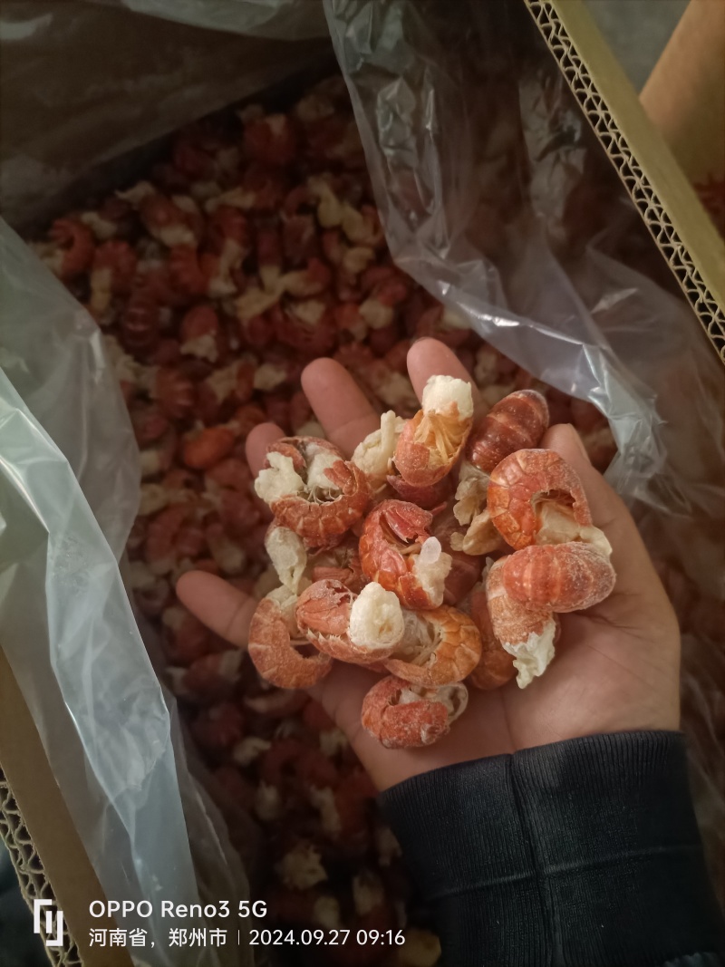 精品特级虾尾原料