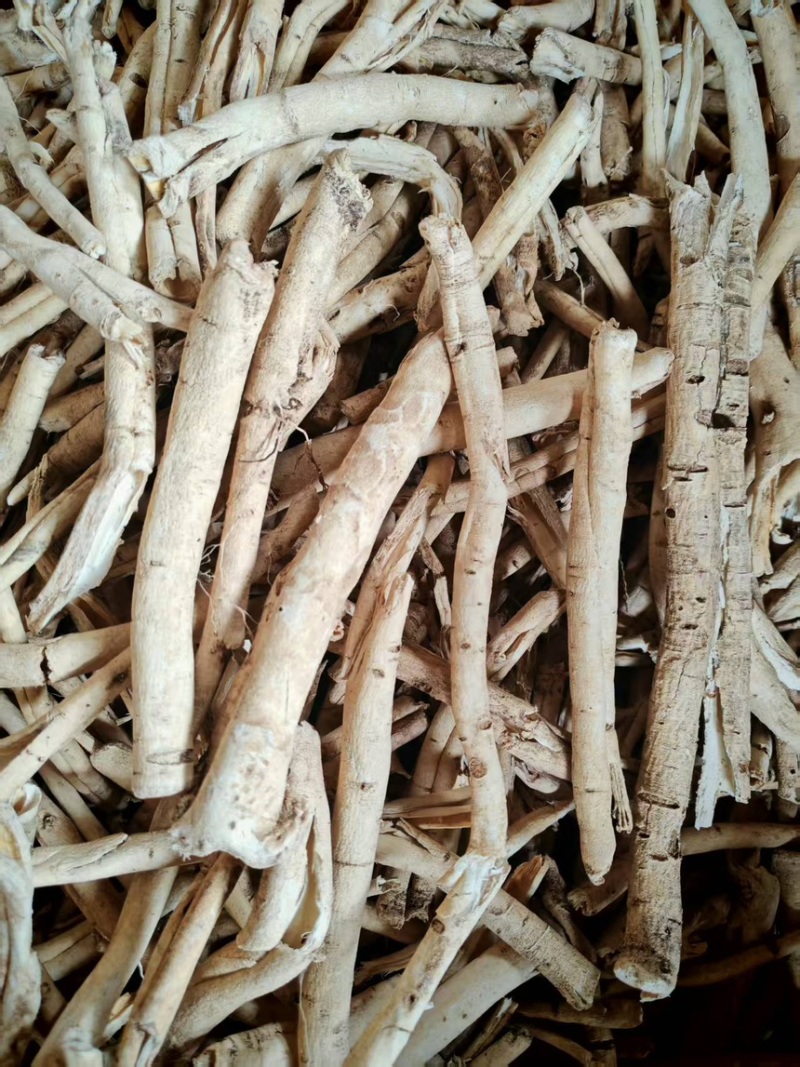 俄罗斯白鲜皮