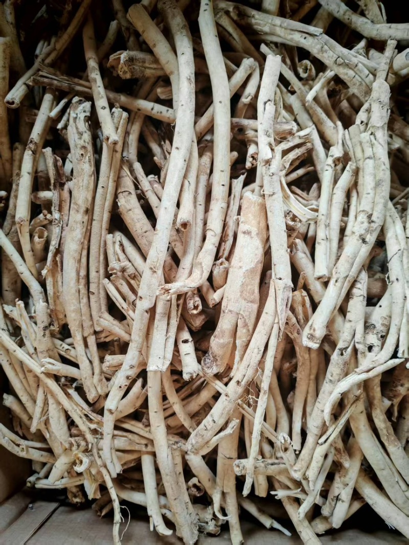 俄罗斯白鲜皮