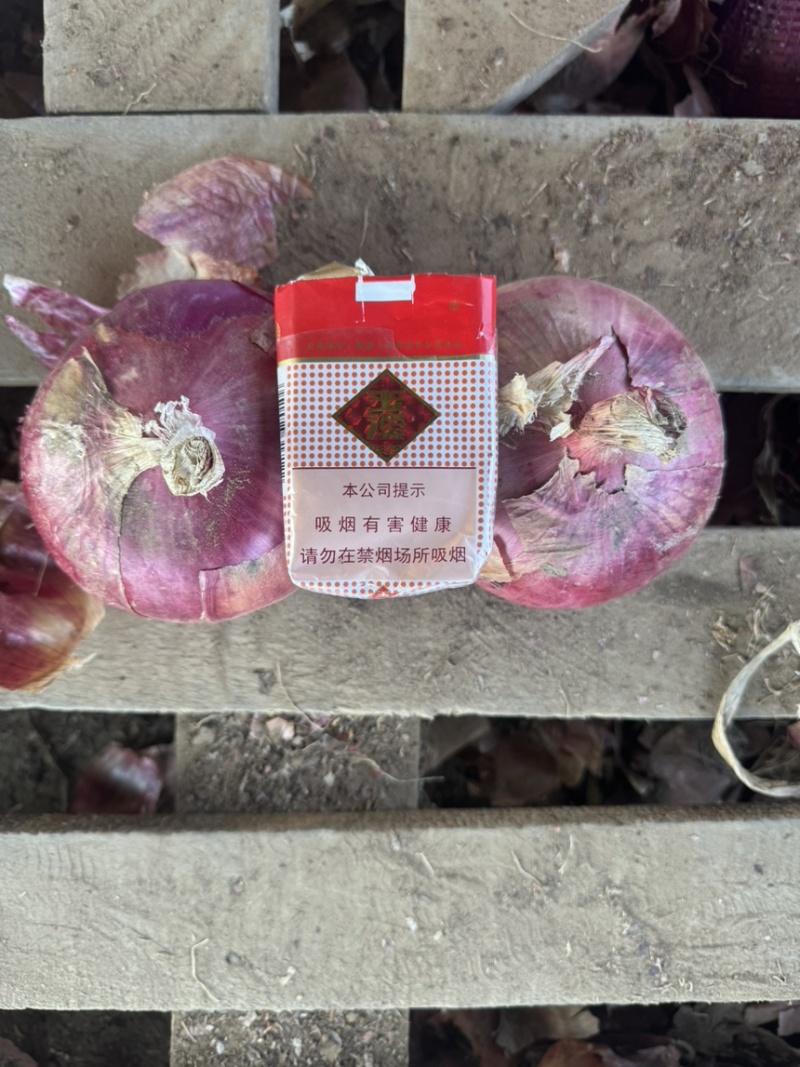 吉林紫圆葱，产地直发，现货，量大优惠，保质保量