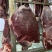 三扒一霖，公牛牛后腿肉，通货，国产纯干冰鲜，精修去油。
