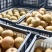 光果元黄万亩产区，大量供应中，口感脆甜多汁，