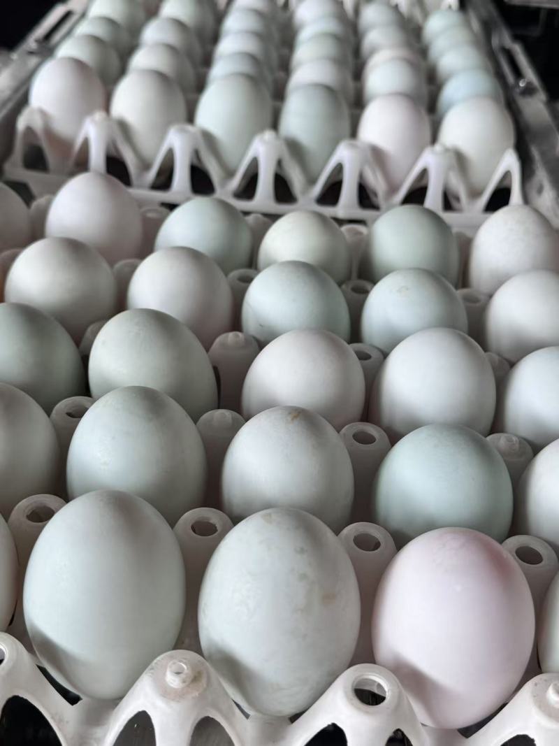 高邮咸鸭蛋起沙流油熟咸鸭蛋整箱批发